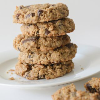 vegan and allergy-friendly Oregon trail oatmeal cookies