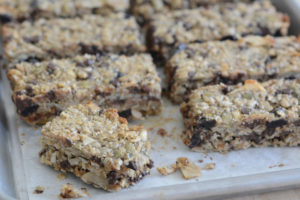 Allergen Free Trail Mix Bars Recipe