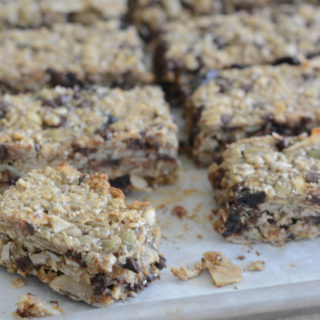 Allergen Free Trail Mix Bars Recipe