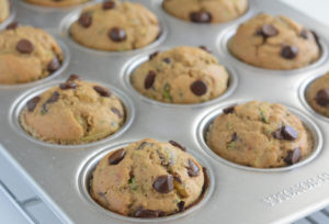 Allergy Friendly Zucchini Chocolate Chip Muffin Recipe