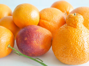 Allergen Free Citrus Pudding Recipe