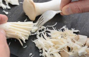 shredding king oyster mushrooms for eggs benedict